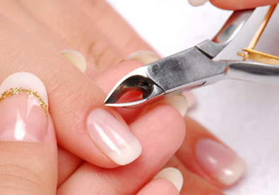 Plastic Handle Scissor